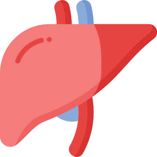 Health Screen Test + Kidney Function Test (KFT)