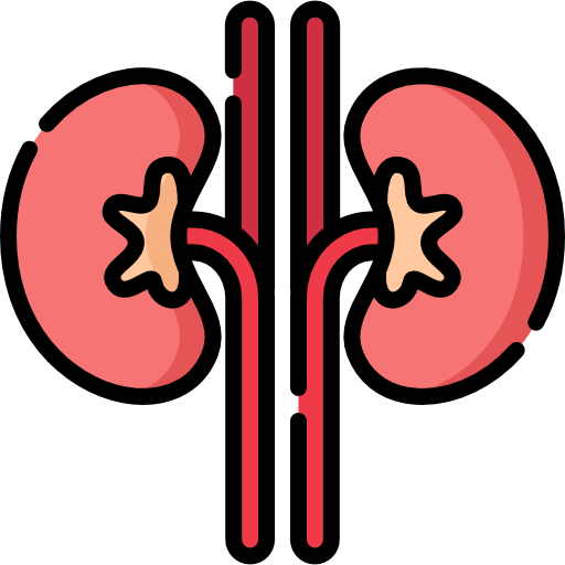 Liver Function Test (LFT)